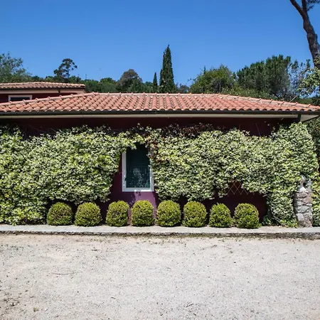Gelsomini Villa *