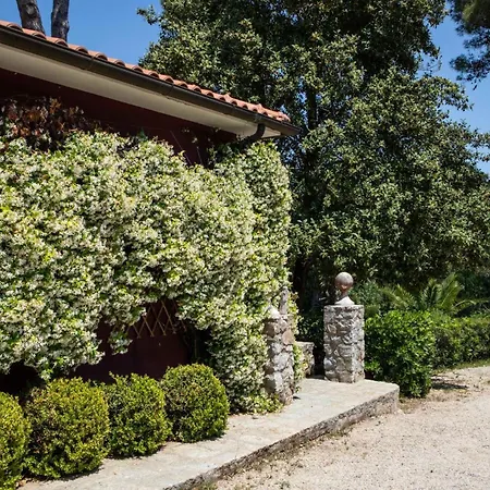 Villa Gelsomini *
