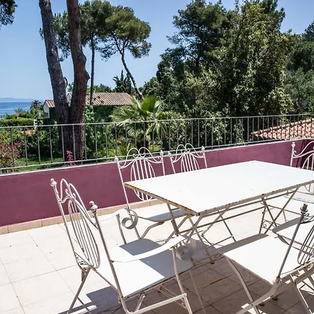 Gelsomini * Capoliveri (Isola d'Elba)